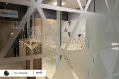 folia_szroniona_alpina_4