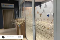 folia_szroniona_alpina_5