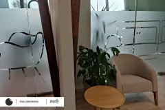 folia_szroniona_euforma_3