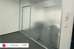 folia_szroniona_papini1