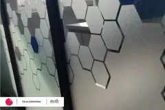 folia_szroniona_frigo3