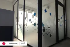 folia_szroniona_frigo4