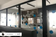 folia_szroniona_frigo_2