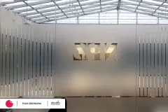 NFZ_6