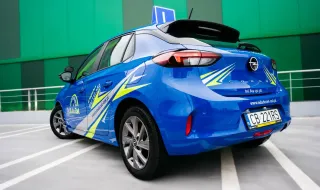 FotoPuli-2-sesja-odazdoz-2