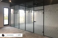 folia_szroniona_planika2